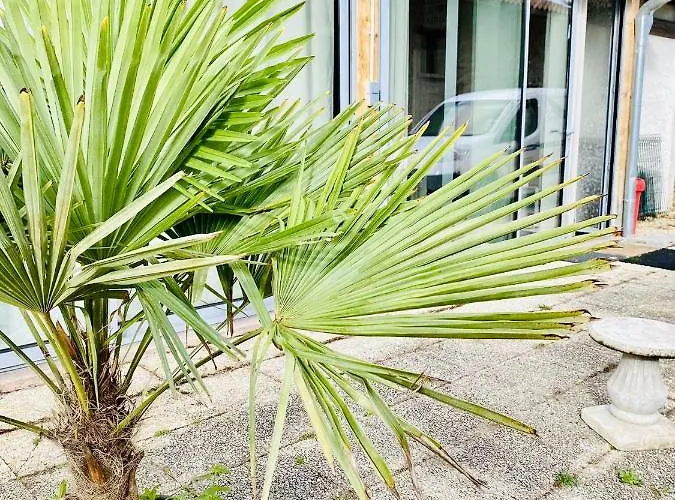 Appartement La Jo